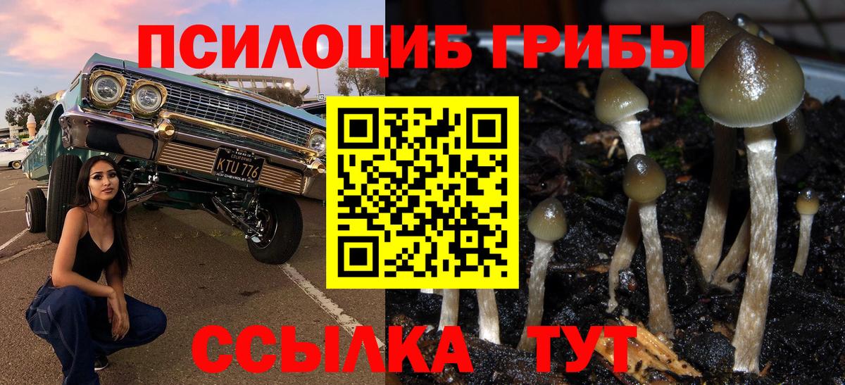 Галлюциногенные грибы Psilocybine cubensis  Галлюциногенные грибы Cubensis  Вход с VPN  Бугуруслан 